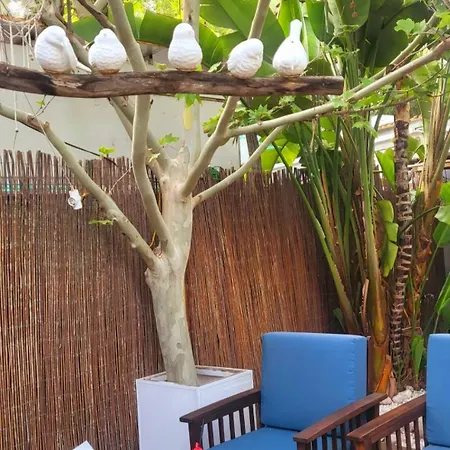Casa Del Sol, Ocas Urbanizacion,2 Bedrooms , 2 Bathrooms,solarium ,nice Swimming Pool And Barbecue Nyaraló *